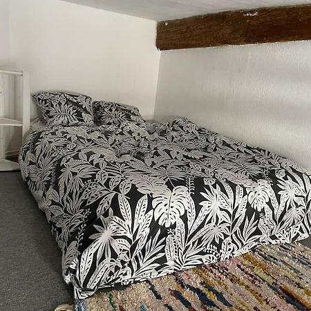 Appartement De Caractere Au Coeur Du Centre-Ville Montpellier Bagian luar foto
